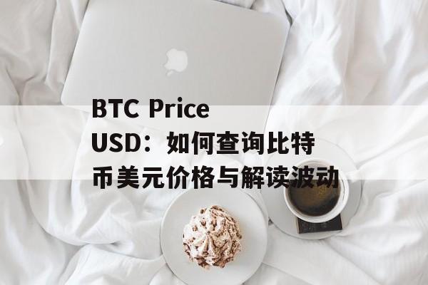 BTC Price USD：如何查询比特币美元价格与解读波动