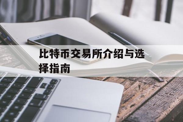 比特币交易所介绍与选择指南